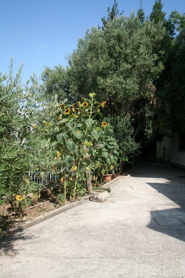 Sunflower Spalato Esterno foto